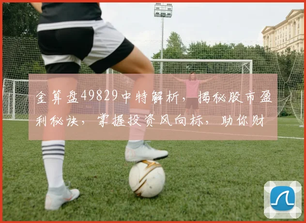 金算盘49829中特解析，揭秘股市盈利秘诀，掌握投资风向标，助你财富增值